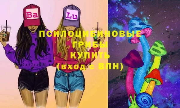 стаф Арсеньев