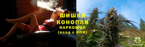 стаф Арсеньев