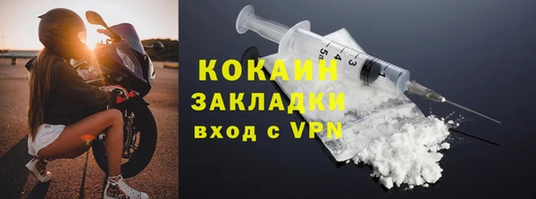 стаф Арсеньев