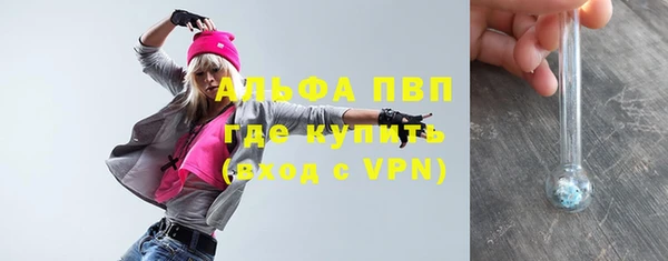 стаф Арсеньев