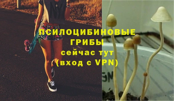 стаф Арсеньев